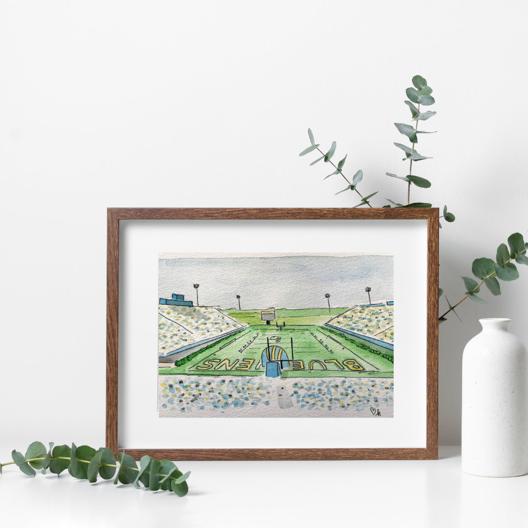 University of Delaware: Delaware Stadium Print