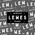 LEWES Sticker