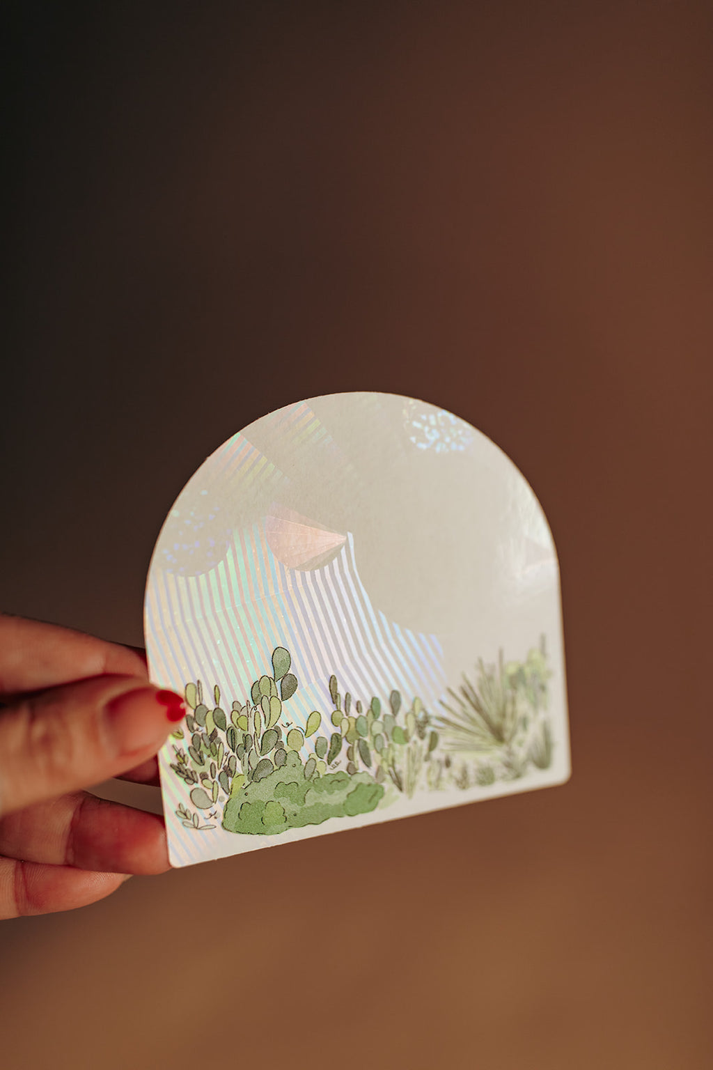 Vista Cactus Suncatcher Sticker | Window Cling
