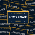 LOWER SLOWER DE Sticker