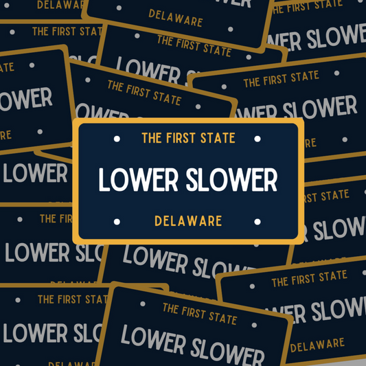 LOWER SLOWER DE Sticker