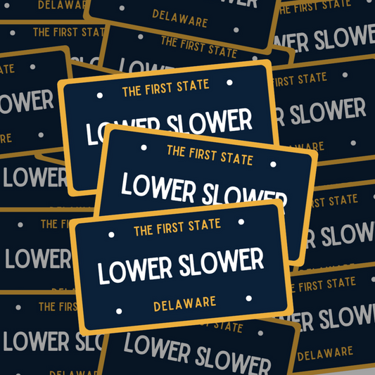 LOWER SLOWER DE Sticker