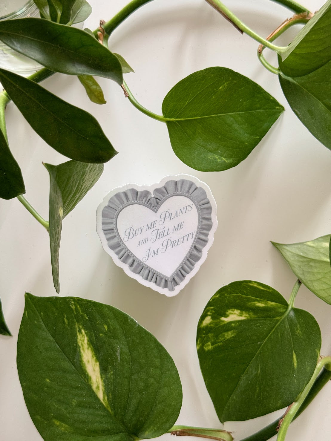 Buy Me Plants, Tell Me I'm Pretty Sticker