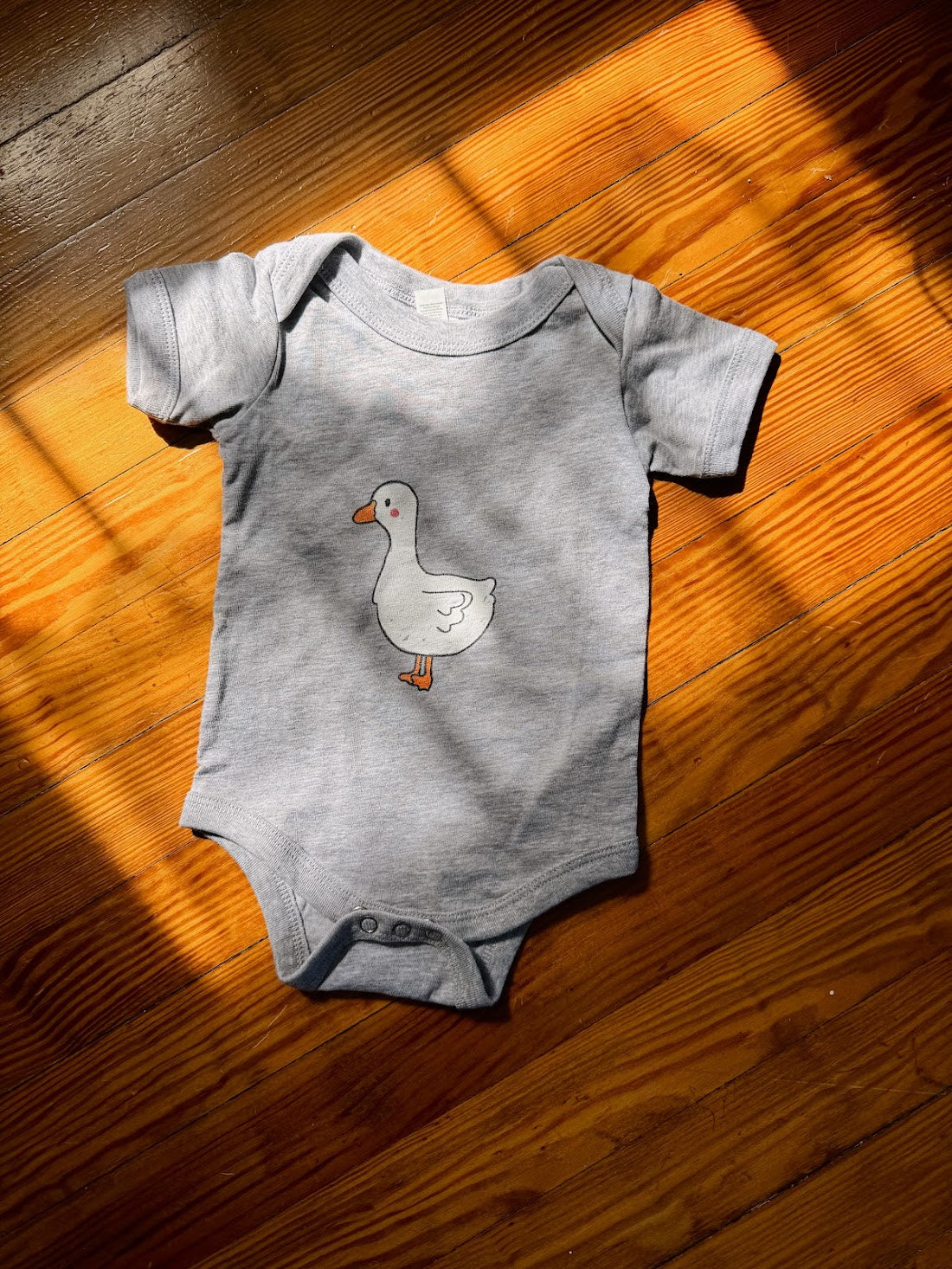 Silly Goose Baby Onesie
