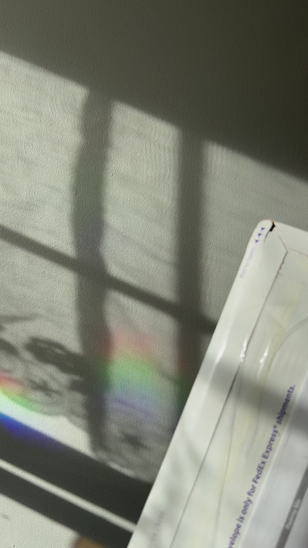 Lover of Cancelled Plans Suncatcher Sticker
